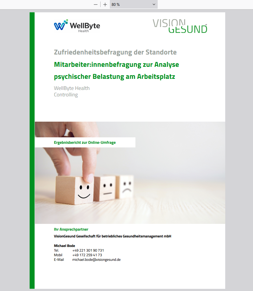 Zu sehen ist eine beispielhafte Ansicht der Berichtfunktion innerhalb des Tools VisionInsight.